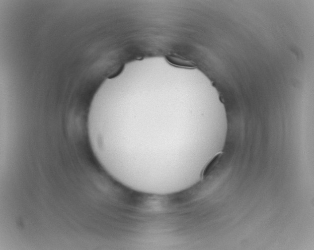 X0000115050088200911231202