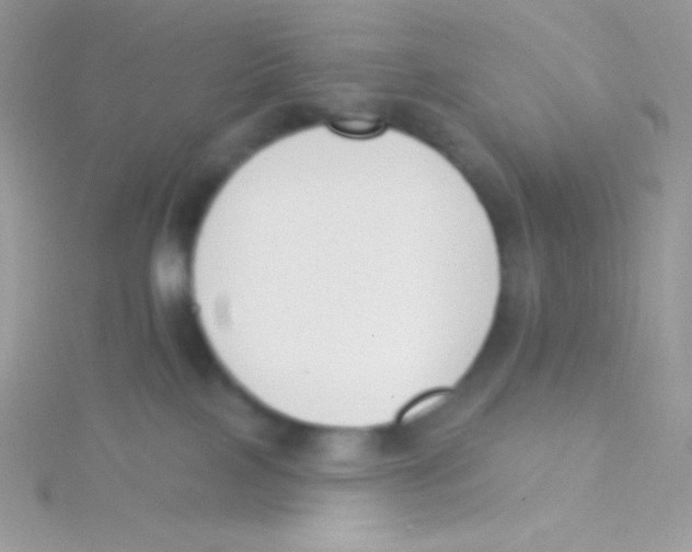 X0000115050089200911231202