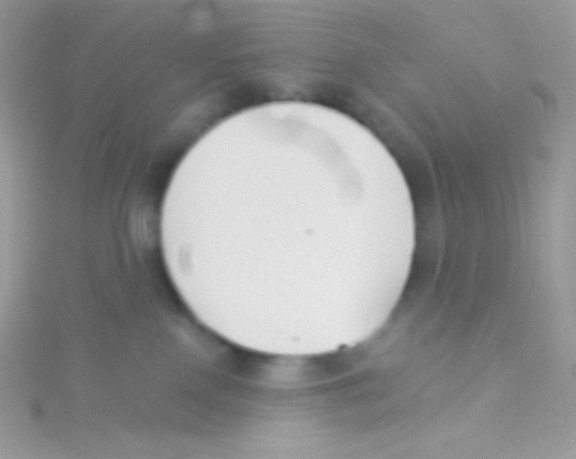 X0000115050090200911231202