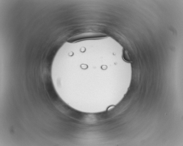 X0000115050091200911231202