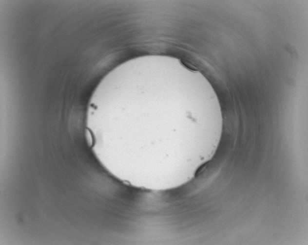 X0000115050092200911231202