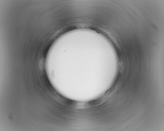 X0000115050093200911231202