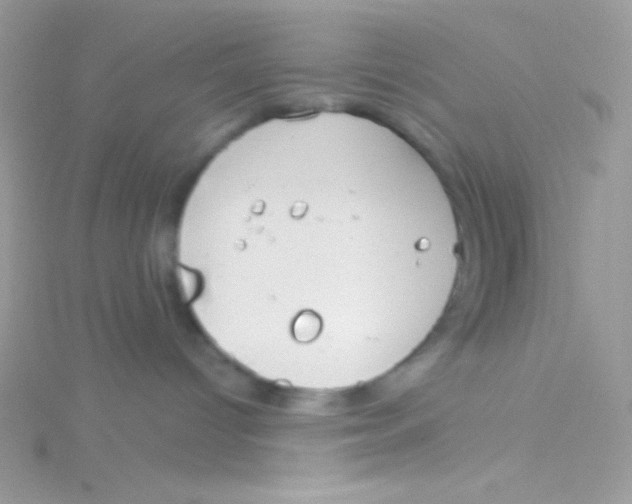 X0000115050096200911231202