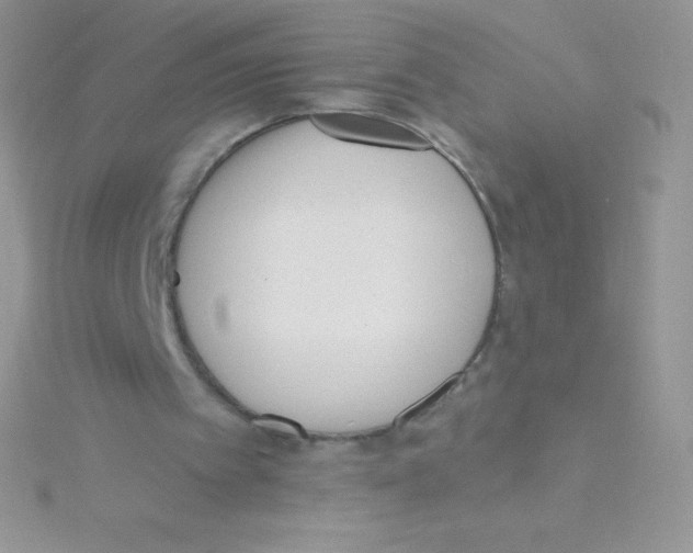 X0000115050097200911231202