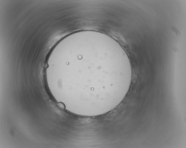 X0000115050098200911231202