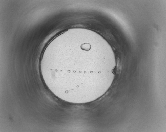 X0000115050099200911231202