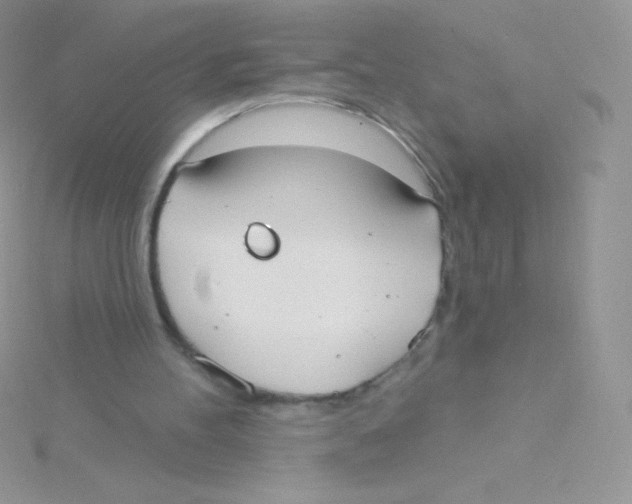 X0000115050100200911231202