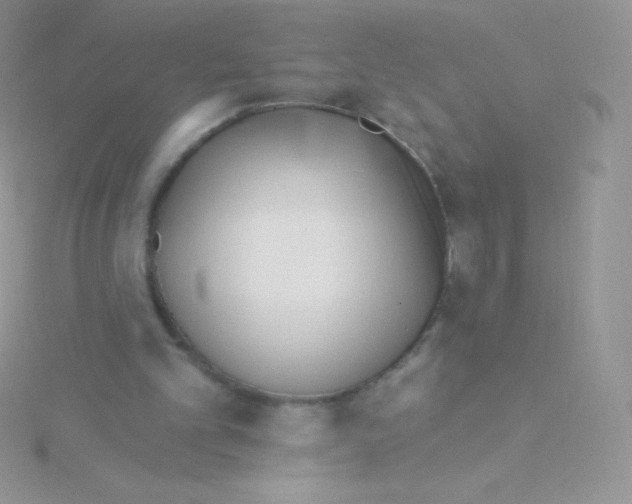 X0000115050101200911231202