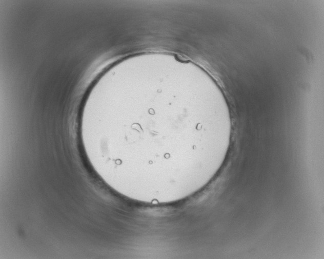 X0000115050103200911231202