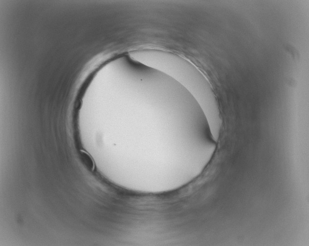 X0000115050104200911231202