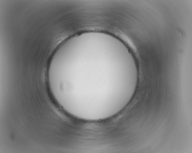 X0000115050105200911231202