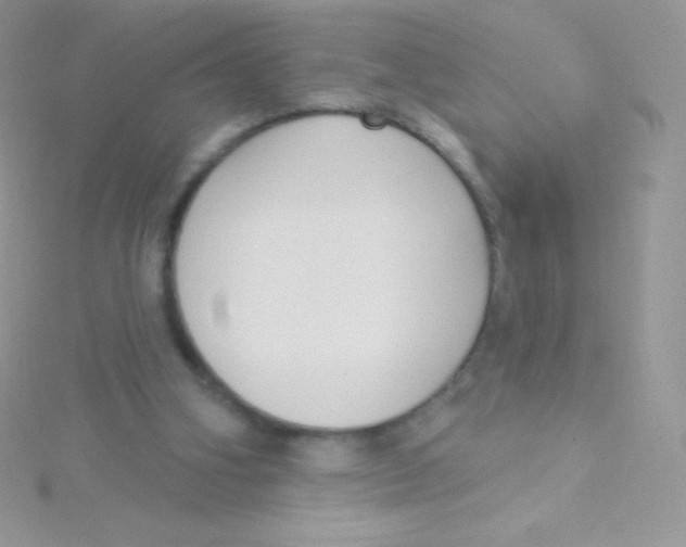 X0000115050106200911231202