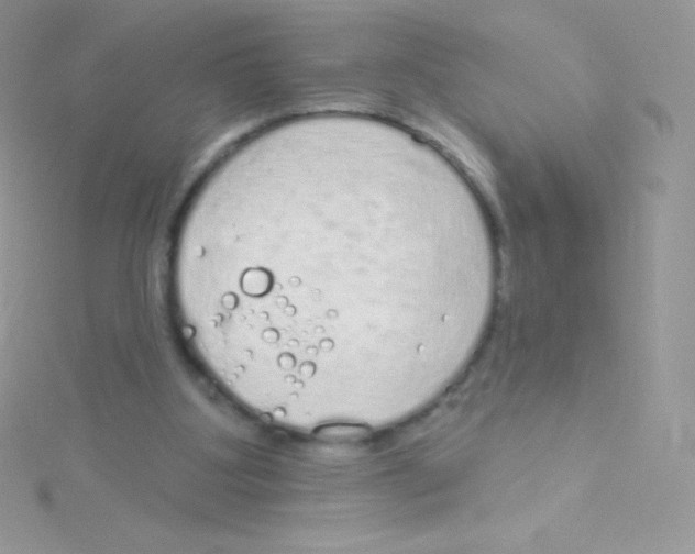 X0000115050107200911231202