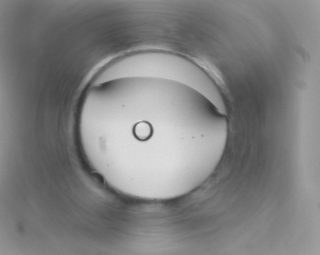 X0000115050108200911231202