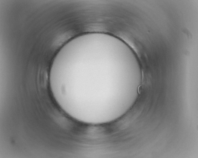 X0000115050109200911231202