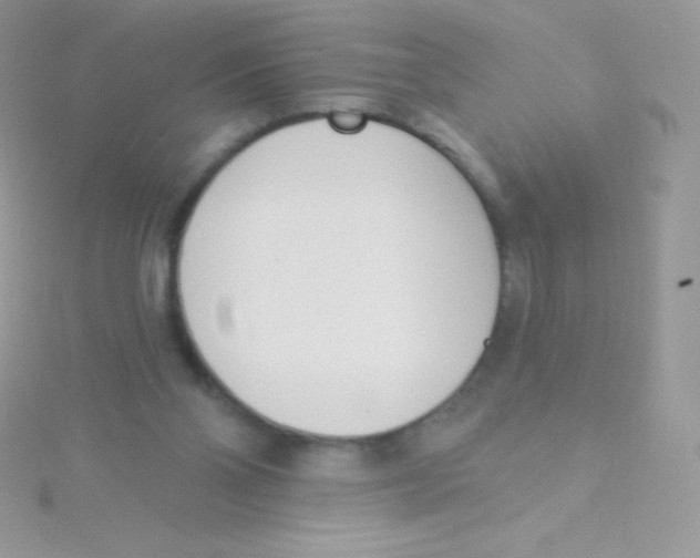 X0000115050110200911231202