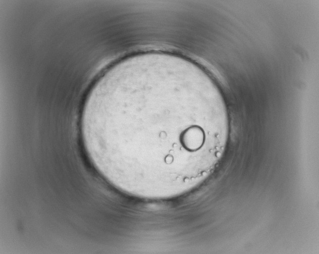 X0000115050111200911231202