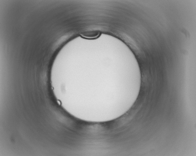 X0000115050112200911231202