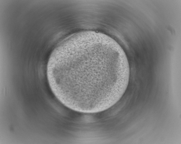 X0000115050114200911231201