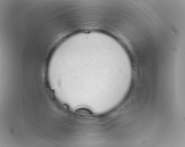 X0000115050115200911231201