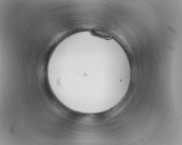 X0000115050116200911231201