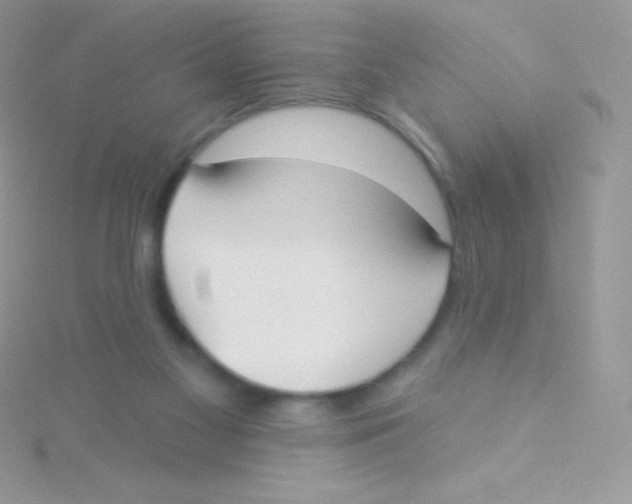 X0000115050117200911231201