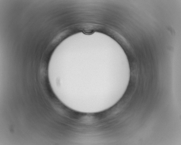 X0000115050119200911231201