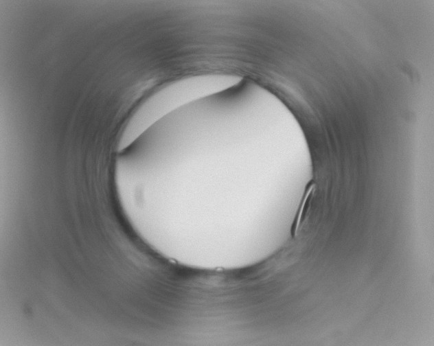 X0000115050120200911231201