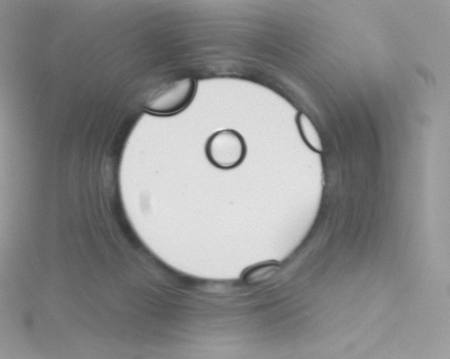 X0000115050121200911231201