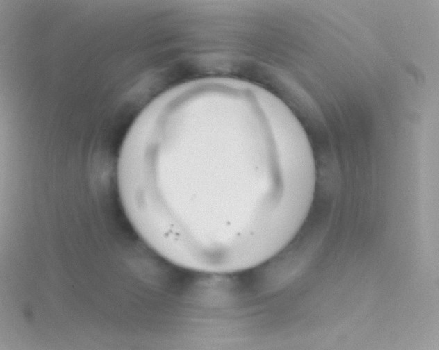 X0000115050125200911231201