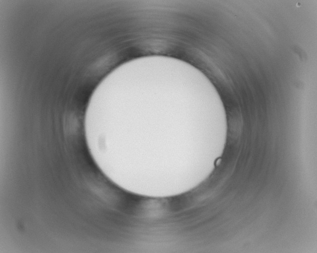 X0000115050126200911231201