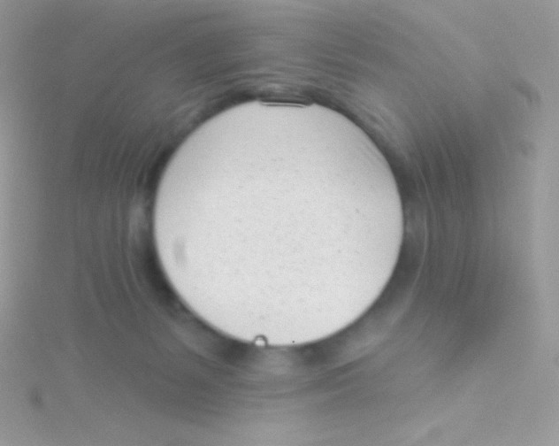 X0000115050127200911231201