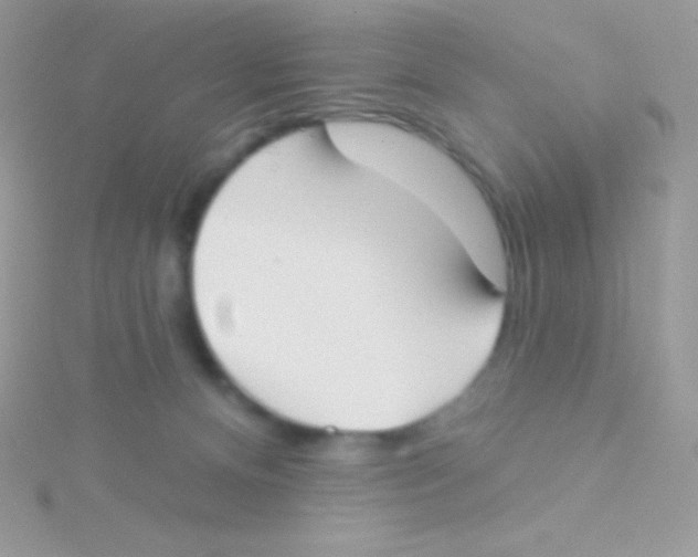 X0000115050128200911231201