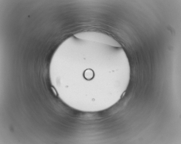 X0000115050129200911231201