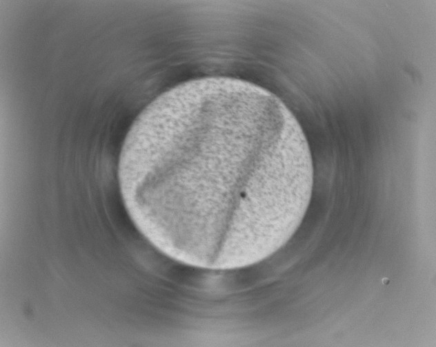 X0000115050130200911231201