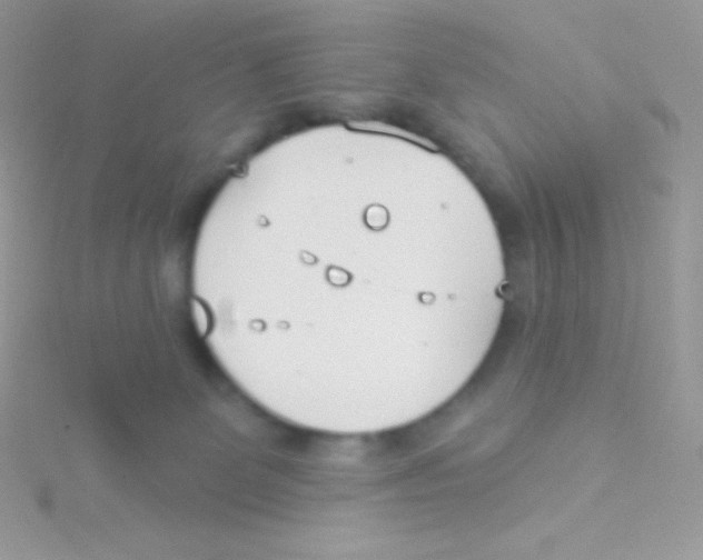 X0000115050131200911231201