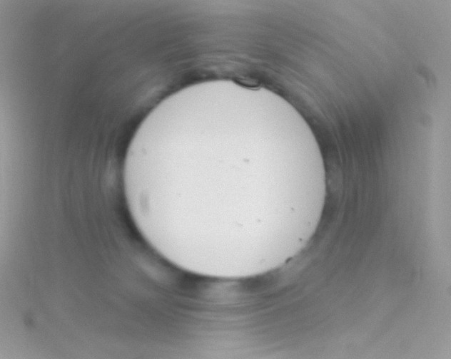 X0000115050132200911231201