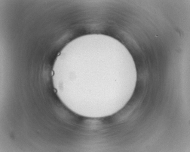 X0000115050133200911231201