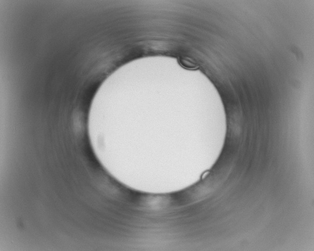 X0000115050135200911231201