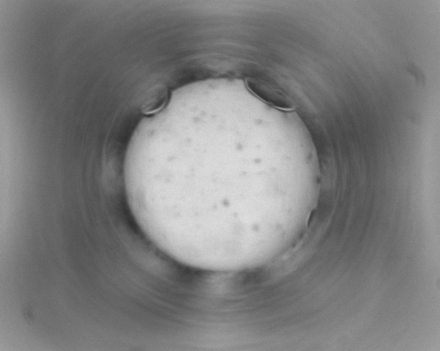 X0000115050136200911231201