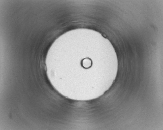 X0000115050137200911231201