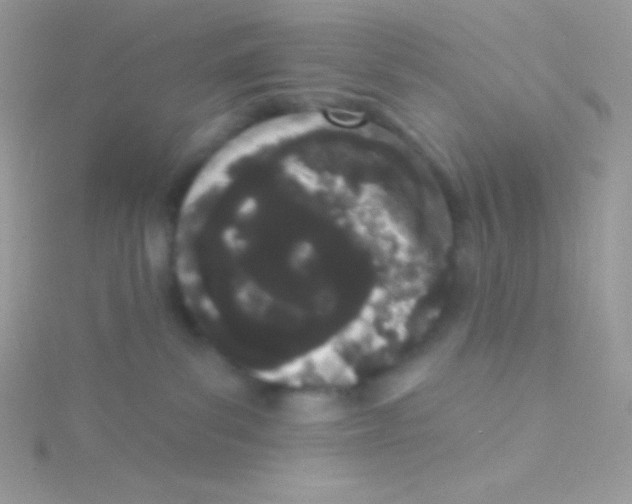 X0000115050139200911231201