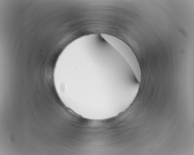 X0000115050141200911231201