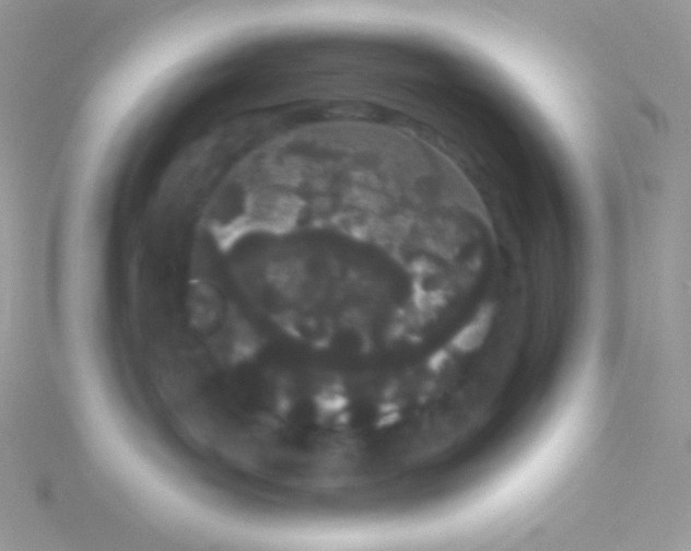 X0000115050143200911231201