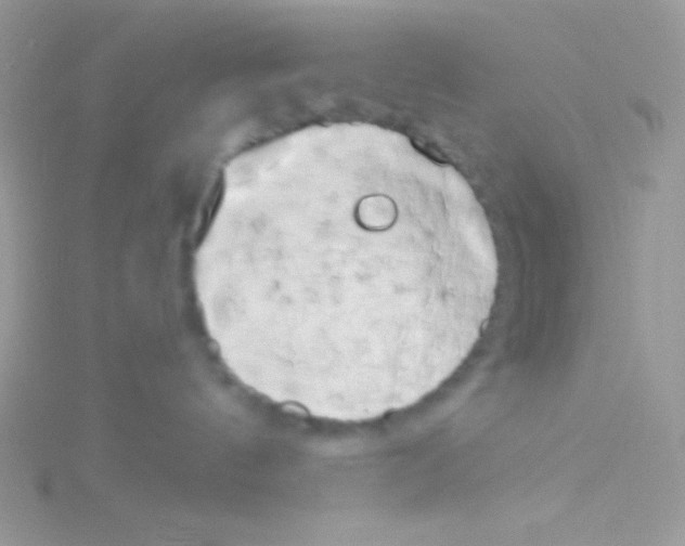 X0000115050144200911231201