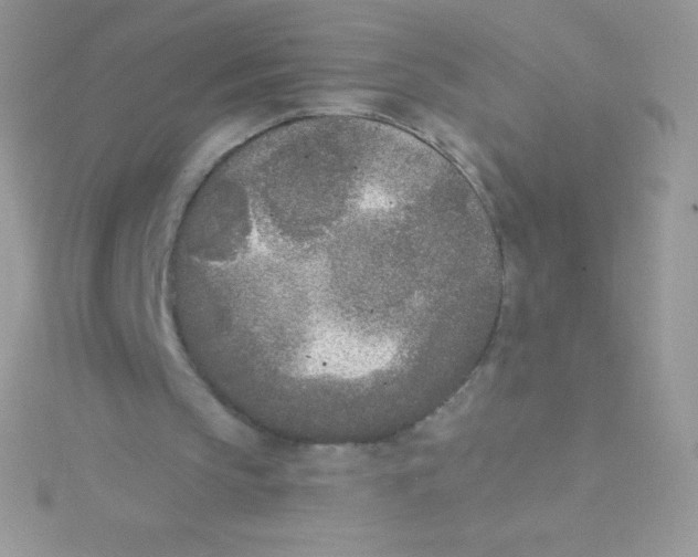 X0000115050145200911231200