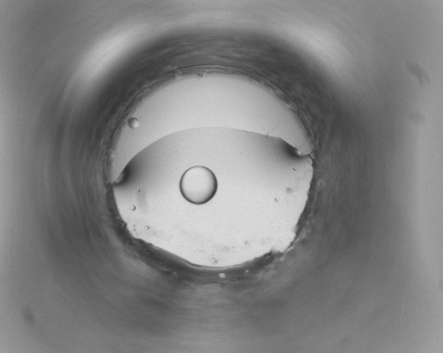 X0000115050146200911231200