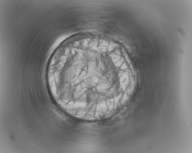 X0000115050147200911231200