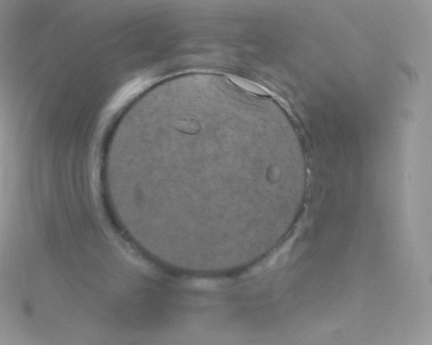 X0000115050149200911231200