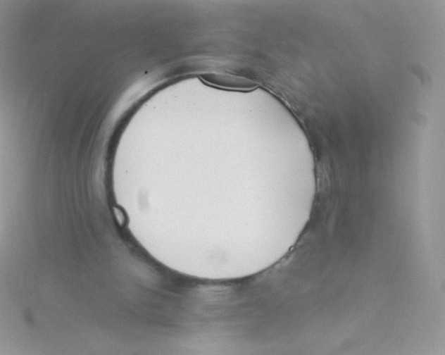 X0000115050150200911231200